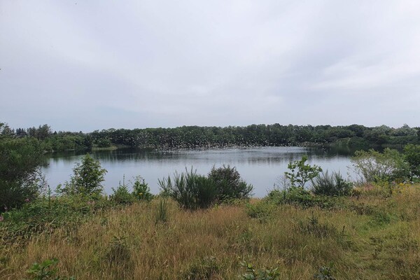 Foto van 6 persoons vakantie huis in Ringkøbing - Vakantiehuis in Ringkøbing - Untagged