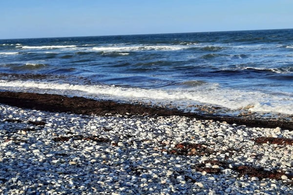 Foto van Kustsereniteit in Ebbelokke-By Traum - Vakantiehuis in Nykøbing Sj - WaterView