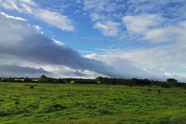 Foto van 6 persoons vakantie huis in Nordborg-By Traum - Vakantiehuis in Nordborg - Untagged