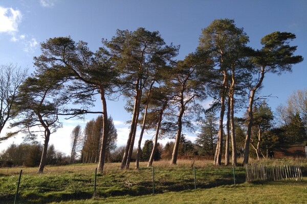 Foto van Gezellig vakantiehuis in Durbuy met tuin - Vakantiehuis in Durbuy - AreaSummer1KM