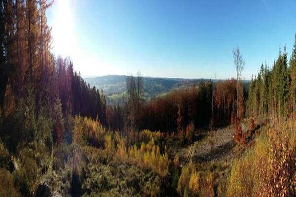 Foto van Charmant chalet in Vielsalm - Vakantiehuis in Vielsalm - AreaSummer20KM