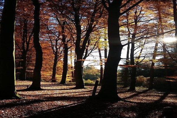 Foto van Charmant chalet in Vielsalm - Vakantiehuis in Vielsalm - AreaSummer20KM