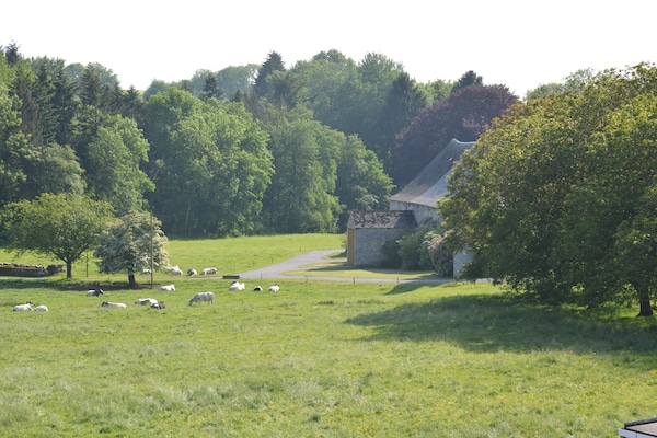 Foto van Groepsreisje aan de Molignée-rivier - Vakantiehuis in Denée - ViewSummer