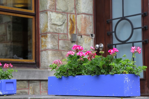 Foto van Waimes Wellness & Natuur Villa - Vakantiehuis in Waimes - Ambiance