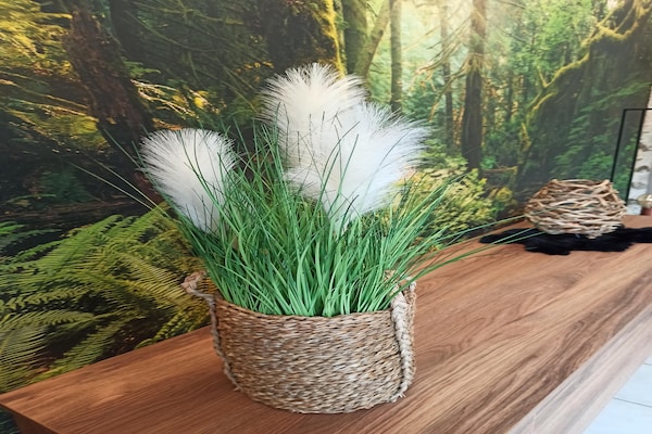 Foto van Vakantiehuis in Stoumont bij Watervallen van Coo - Vakantiehuis in Rahier - Ambiance