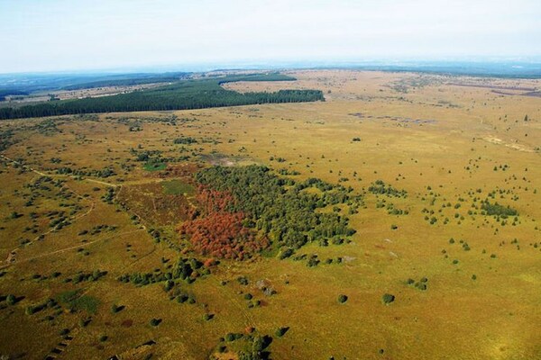Foto van Ontsnapping aan de bosrand van Waimes - Vakantiehuis in Sourbrodt - AreaSummer5KM