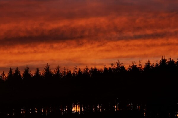 Foto van Libramont Stone Garden Haven - Vakantiehuis in Sainte-Marie Chevigny - ViewSummer