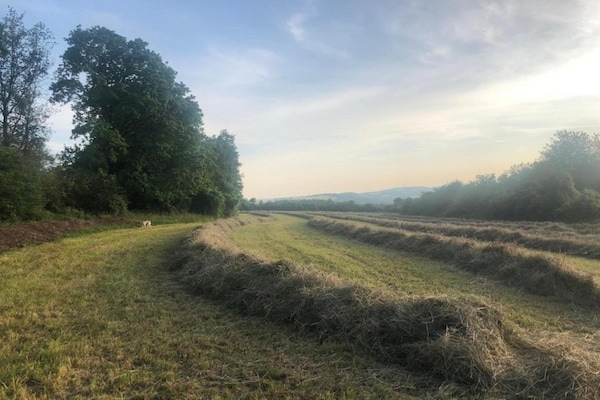 Foto van Familie-uitje met zwembad - Vakantiehuis in Hamoir Filot - AreaSummer5KM
