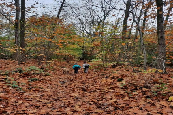 Foto van Ruime villa nabij de rivier - Vakantiehuis in Vieuxville - AreaSummer20KM