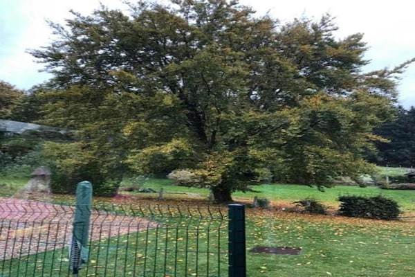 Foto van Sourbrodt Verblijf met Zwembad - Vakantiehuis in Sourbrodt - AreaSummer20KM