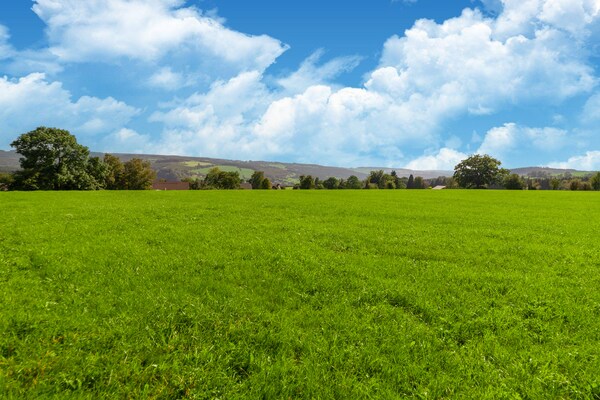 Foto van Ruime woning in Stavelot - Vakantiehuis in Stavelot - ViewSummer
