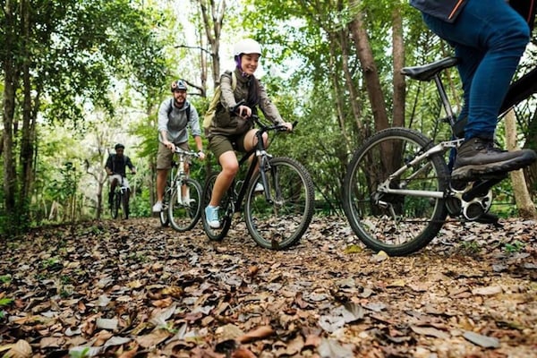 Foto van Vakantiehuis in België met Speelkamer - Vakantiehuis in Somme-Leuze - AreaSummer20KM