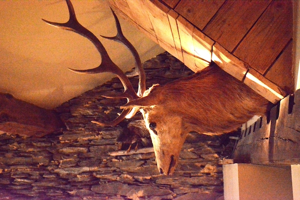 Foto van Vakantiehuis in Bièvre met terras - Vakantiehuis in Bièvre - Ambiance