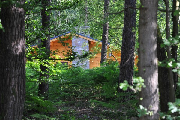 Foto van Chalet in Oignies met bosrijke omgeving - Vakantiehuis in Oignies en Thiérache - ExteriorSummer