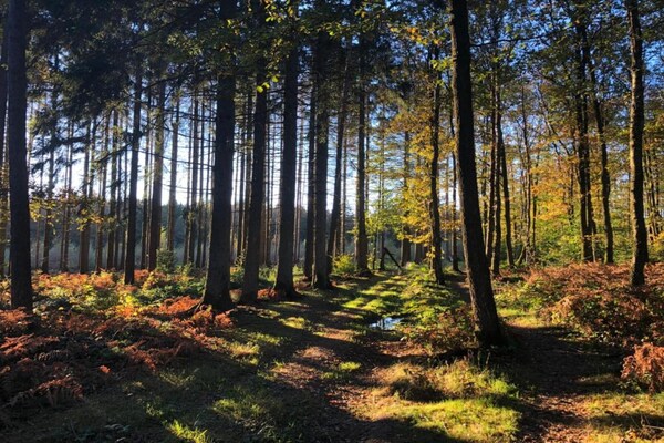 Foto van Chalet in België met prachtig uitzicht - Vakantiehuis in Virtoine - AreaSummer20KM