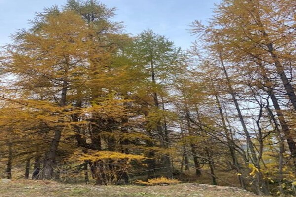 Foto van Chalet in België met prachtig uitzicht - Vakantiehuis in Virtoine - AreaSummer20KM