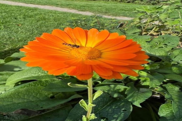 Foto van Chalet in België met prachtig uitzicht - Vakantiehuis in Virtoine - Ambiance