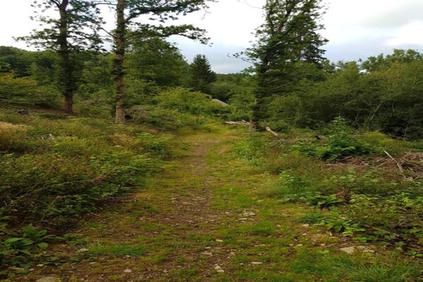 Foto van Natuuruitje in Martelange - Vakantiehuis in Martelange (radelange) - AreaSummer20KM