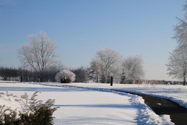 Foto van Natuuruitje in Martelange - Vakantiehuis in Martelange (radelange) - AreaWinter20KM