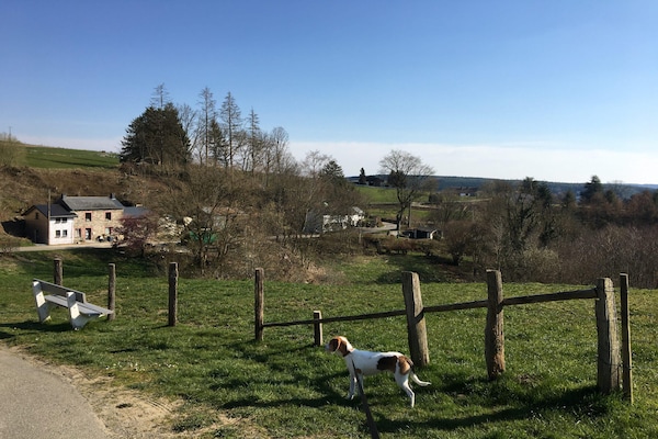 Foto van Charmant huisje met zwembad in Houffalize - Vakantiehuis in Houffalize - AreaSummer1KM