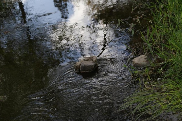 Foto van Charmant kasteel in Roumont - Vakantiehuis in Roumont - AreaSummer20KM
