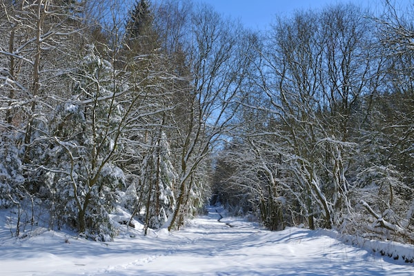 Foto van Appartement in Vielsalm met privé sauna - Vakantiehuis in Vielsalm - AreaWinter20KM
