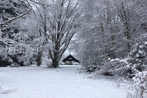 Foto van Groot jachthuis met enorme mooie tuin - Vakantiehuis in Vielsalm - AreaWinter1KM