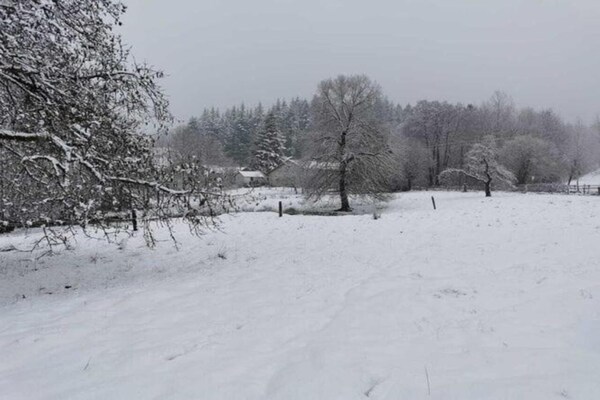 Foto van Elegante Ardense retraite - Vakantiehuis in Vielsalm - Petit-Thier - AreaWinter20KM