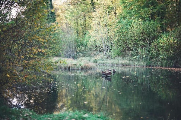 Foto van Bungalow in Virton bij Vallée de Rabais Meer - Vakantiehuis in Virton - AreaSummer20KM