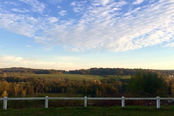 Foto van Bungalow in Virton bij Vallée de Rabais Meer - Vakantiehuis in Virton - AreaSummer20KM