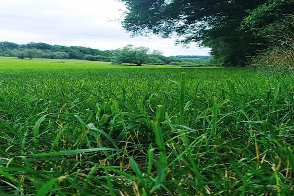 Foto van Appartement in België met Tuinterras - Vakantiehuis in Durbuy - AreaSummer20KM