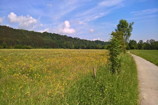 Foto van Chalet in Wéris bij Durbuy-bossen - Vakantiehuis in Wéris - AreaSummer20KM