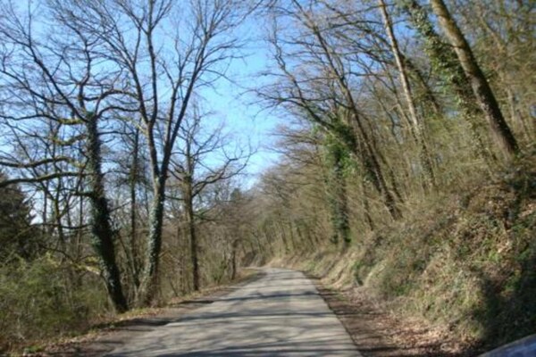 Foto van Charmant chalet in Durbuy vlakbij Adventure Valley - AreaSummer20KM