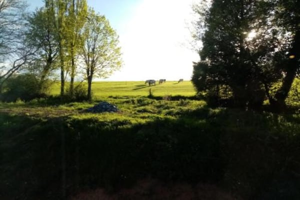 Foto van Charmant chalet in Durbuy vlakbij Adventure Valley - AreaSummer20KM