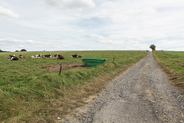 Foto van Luxe Wellness Villa, Septon - Vakantiehuis in Septon - AreaSummer20KM