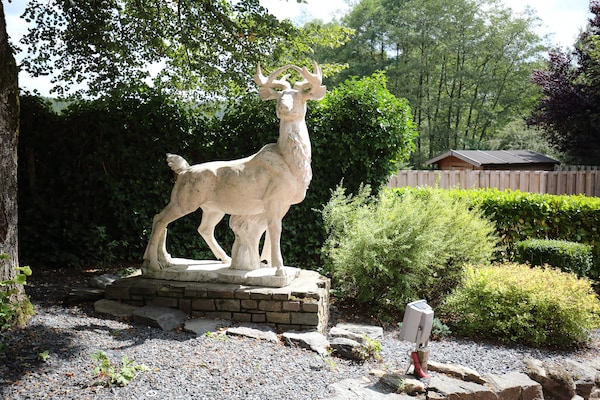Foto van Rustig huis in de Ardennen - Vakantiehuis in Dochamps - AreaSummer1KM