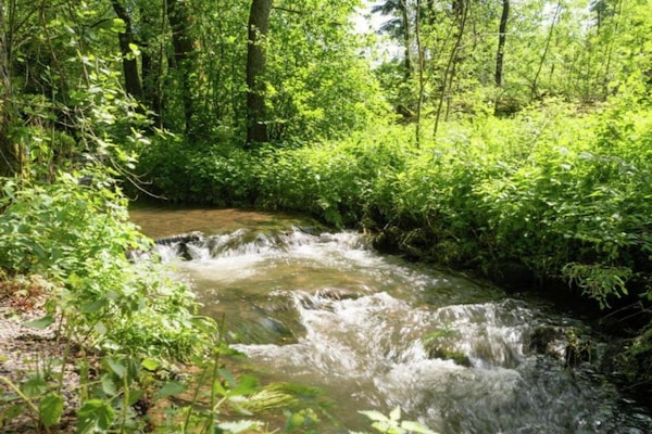 Foto van Rustig huis in de Ardennen - Vakantiehuis in Dochamps - AreaSummer5KM