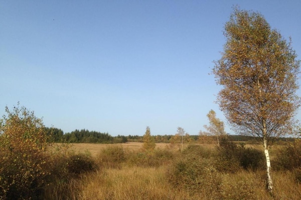 Foto van Rustig huis in de Ardennen - Vakantiehuis in Dochamps - AreaSummer5KM
