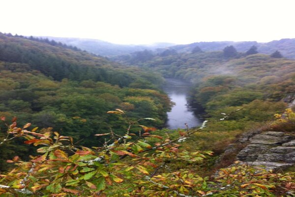 Foto van Vakantiehuis in La Roche met sauna & terras - Vakantiehuis in La Roche - AreaSummer20KM