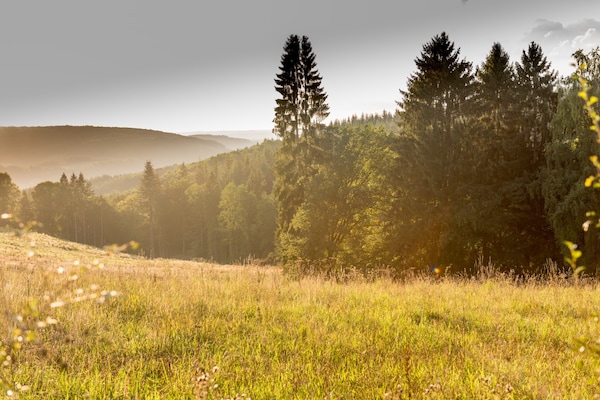 Foto van Charmante vakantiebasis in de Ardennen voor 8 personen - AreaSummer5KM