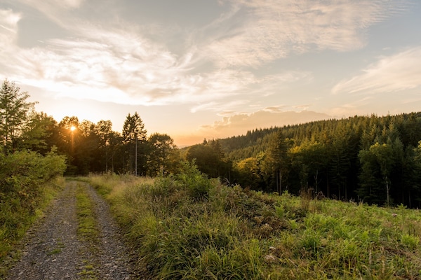 Foto van Charmante vakantiebasis in de Ardennen voor 8 personen - AreaSummer5KM