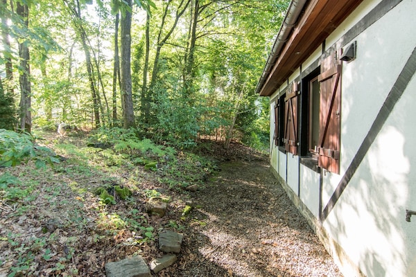 Foto van Charmante vakantiebasis in de Ardennen voor 8 personen - ExteriorSummer