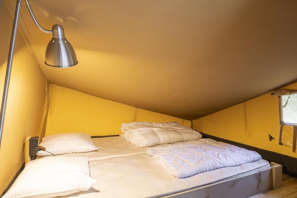 Foto van Houten 8-persoons vakantietent - Vakantiehuis in Signy-l’Abbaye - 