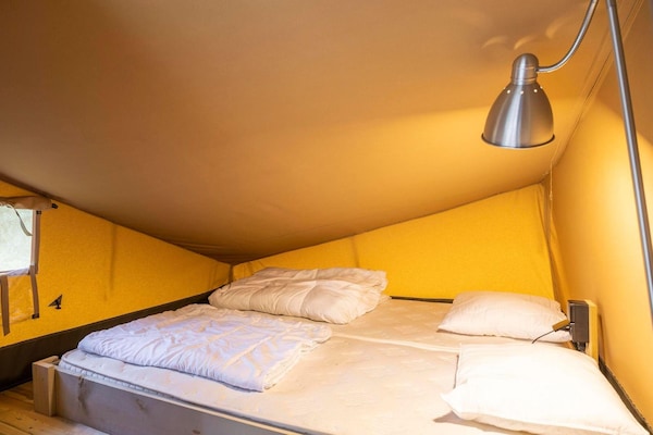 Foto van Houten 8-persoons vakantietent - Vakantiehuis in Signy-l’Abbaye - BedRoom